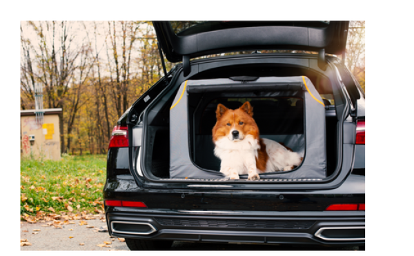 faltbare Hundebox Knuffelwuff Alverstone - Auto-Transportbox mit Aluminiumgestell für den Kofferraum